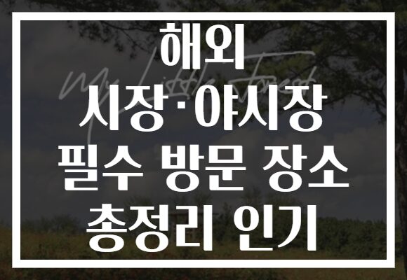 해외 시장·야시장 필수 방문 장소 총정리 인기