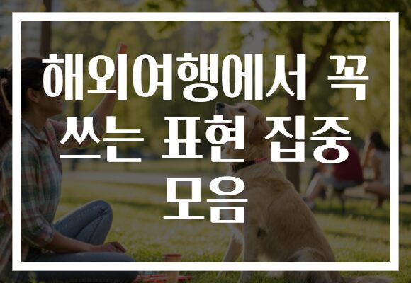 해외여행에서 꼭 쓰는 표현 집중 모음