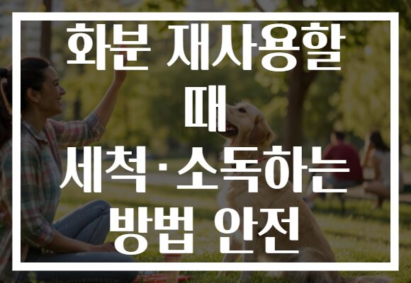 화분 재사용할 때 세척·소독하는 방법 안전