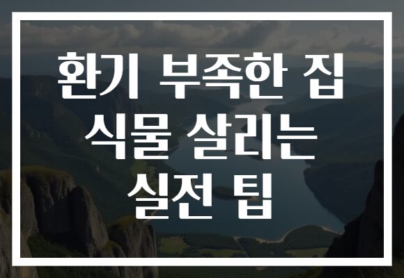 환기 부족한 집 식물 살리는 실전 팁