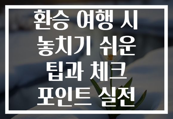환승 여행 시 놓치기 쉬운 팁과 체크 포인트 실전