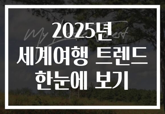 2025년 세계여행 트렌드 한눈에 보기