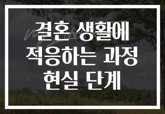 결혼 생활에 적응하는 과정 현실 단계