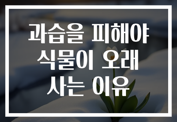 과습을 피해야 식물이 오래 사는 이유