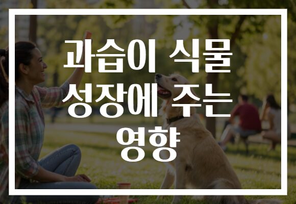 과습이 식물 성장에 주는 영향