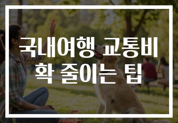 국내여행 교통비 확 줄이는 팁