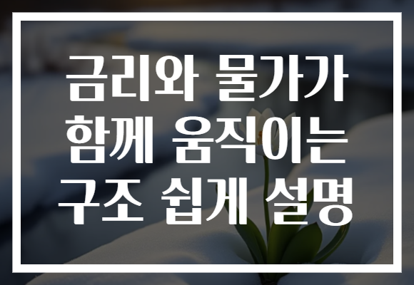 금리와 물가가 함께 움직이는 구조 쉽게 설명