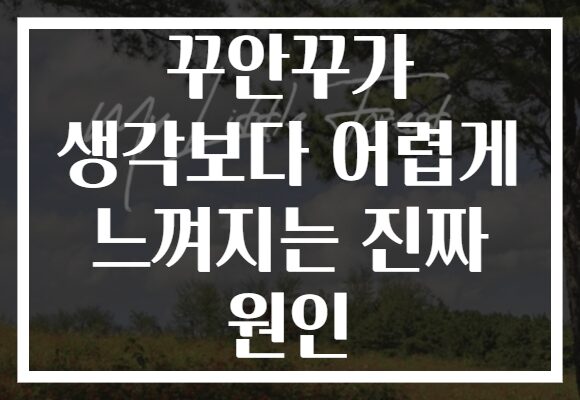 꾸안꾸가 생각보다 어렵게 느껴지는 진짜 원인