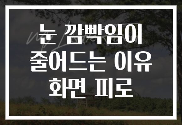 눈 깜빡임이 줄어드는 이유 화면 피로