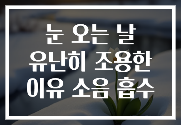 눈 오는 날 유난히 조용한 이유 소음 흡수