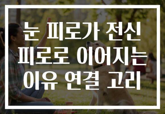 눈 피로가 전신 피로로 이어지는 이유 연결 고리