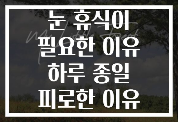 눈 휴식이 필요한 이유 하루 종일 피로한 이유