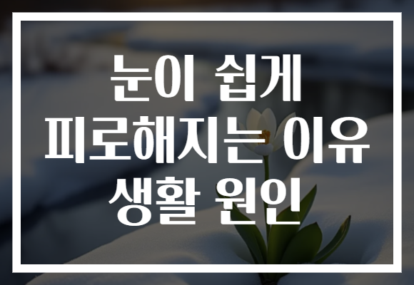 눈이 쉽게 피로해지는 이유 생활 원인