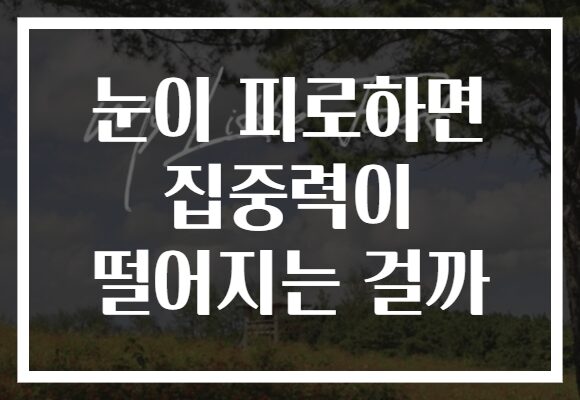 눈이 피로하면 집중력이 떨어지는 걸까