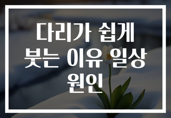 다리가 쉽게 붓는 이유 일상 원인