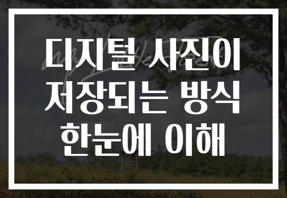 디지털 사진이 저장되는 방식 한눈에 이해