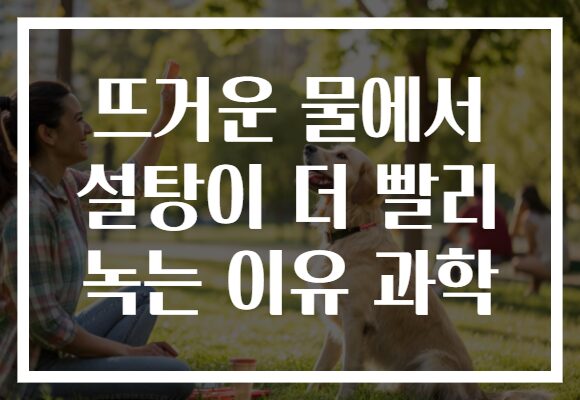 뜨거운 물에서 설탕이 더 빨리 녹는 이유 과학