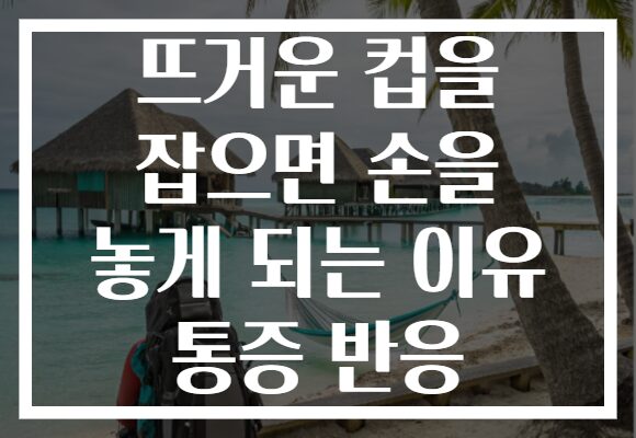 뜨거운 컵을 잡으면 손을 놓게 되는 이유 통증 반응