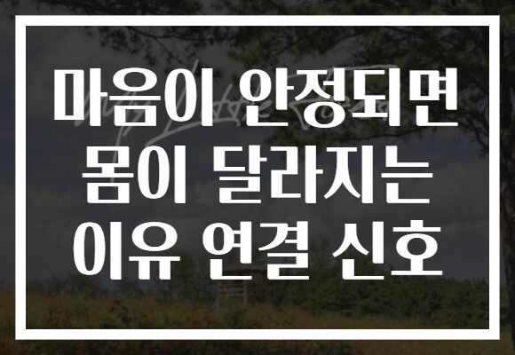 마음이 안정되면 몸이 달라지는 이유 연결 신호