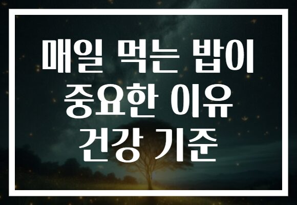 매일 먹는 밥이 중요한 이유 건강 기준