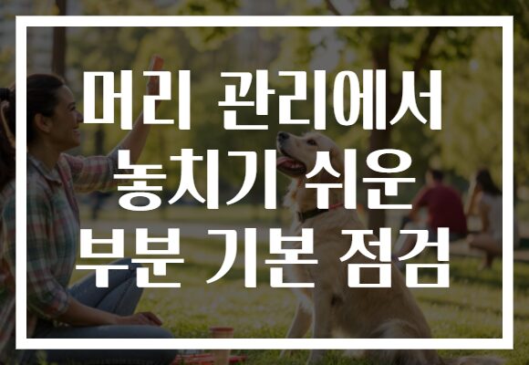 머리 관리에서 놓치기 쉬운 부분 기본 점검