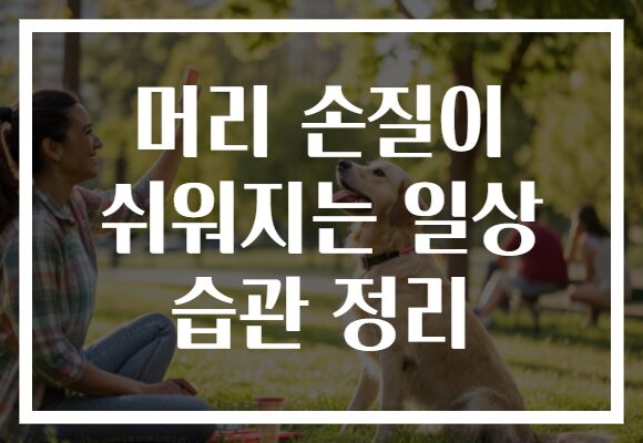 머리 손질이 쉬워지는 일상 습관 정리