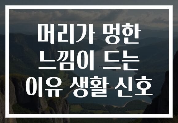 머리가 멍한 느낌이 드는 이유 생활 신호