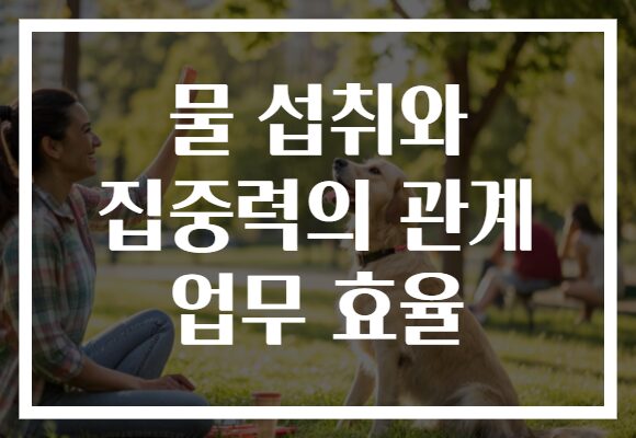 물 섭취와 집중력의 관계 업무 효율