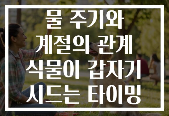 물 주기와 계절의 관계 식물이 갑자기 시드는 타이밍