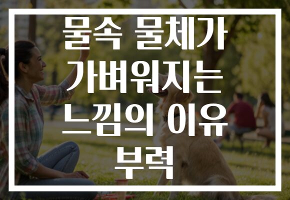 물속 물체가 가벼워지는 느낌의 이유 부력