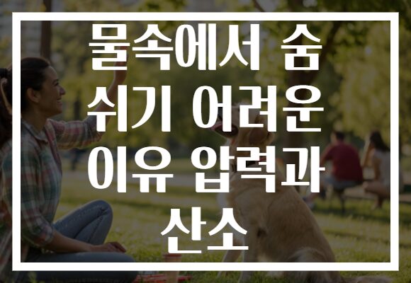 물속에서 숨 쉬기 어려운 이유 압력과 산소