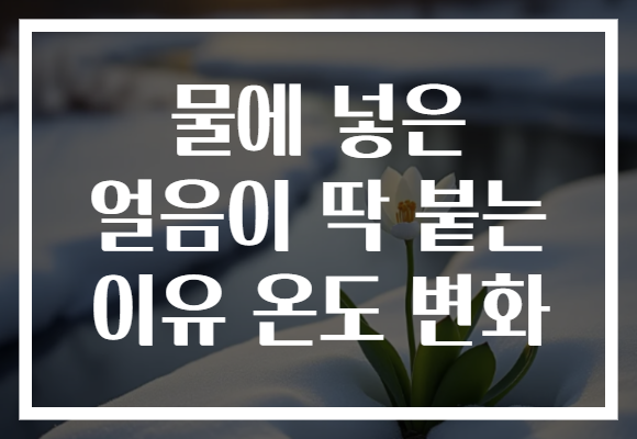 물에 넣은 얼음이 딱 붙는 이유 온도 변화