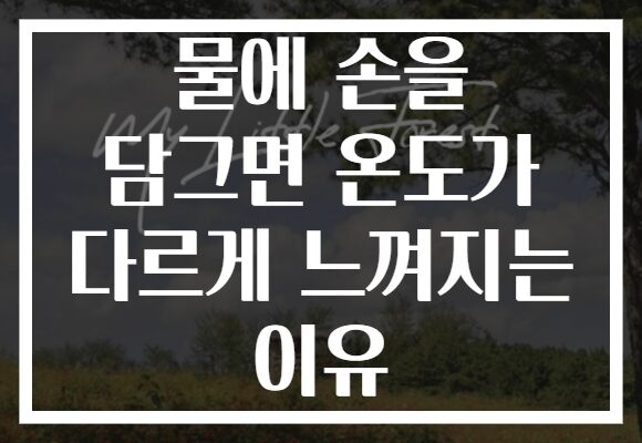 물에 손을 담그면 온도가 다르게 느껴지는 이유