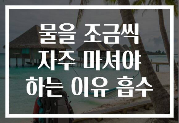 물을 조금씩 자주 마셔야 하는 이유 흡수