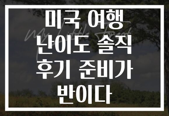 미국 여행 난이도 솔직 후기 준비가 반이다
