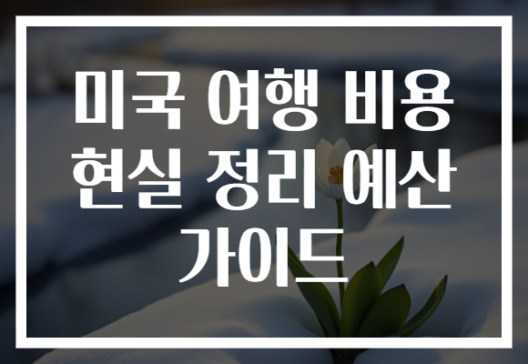 미국 여행 비용 현실 정리 예산 가이드