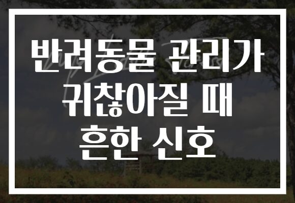 반려동물 관리가 귀찮아질 때 흔한 신호