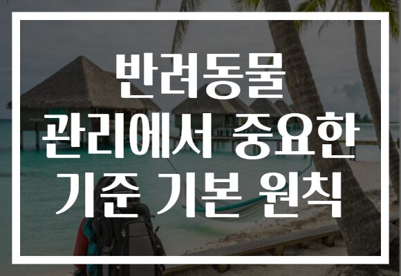 반려동물 관리에서 중요한 기준 기본 원칙