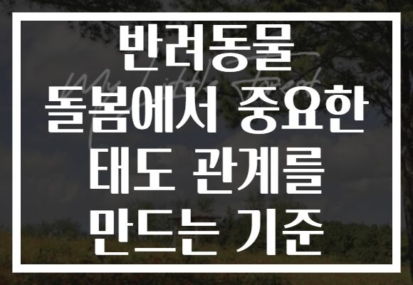 반려동물 돌봄에서 중요한 태도 관계를 만드는 기준