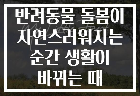 반려동물 돌봄이 자연스러워지는 순간 생활이 바뀌는 때