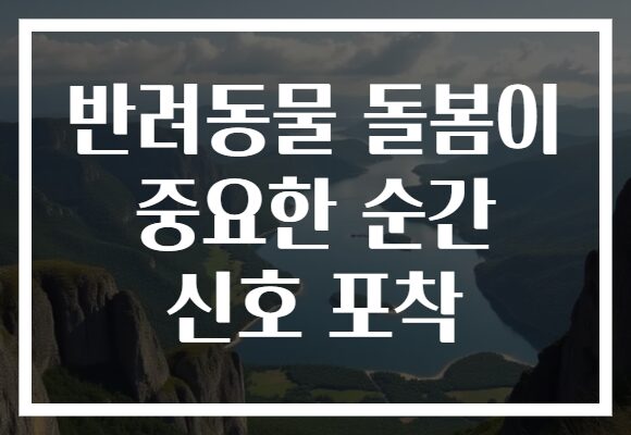 반려동물 돌봄이 중요한 순간 신호 포착