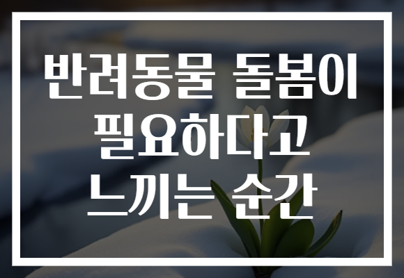 반려동물 돌봄이 필요하다고 느끼는 순간