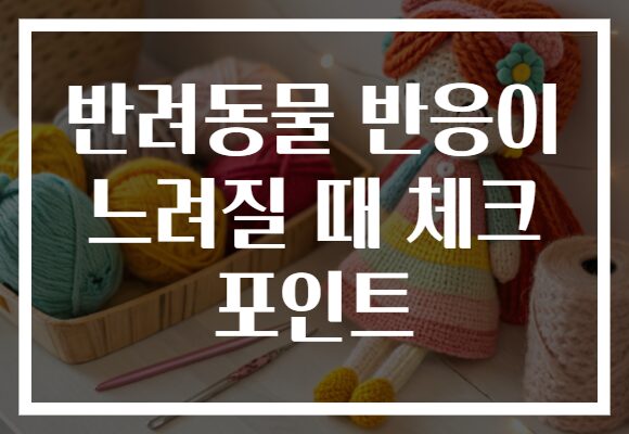 반려동물 반응이 느려질 때 체크 포인트