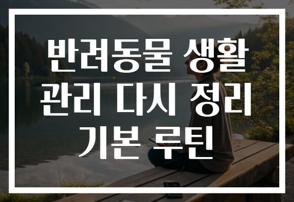 반려동물 생활 관리 다시 정리 기본 루틴