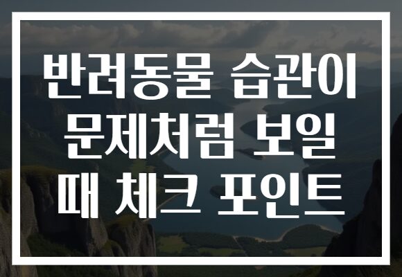 반려동물 습관이 문제처럼 보일 때 체크 포인트