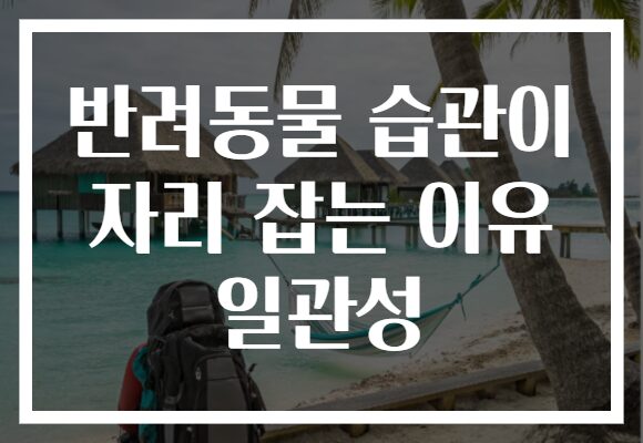 반려동물 습관이 자리 잡는 이유 일관성