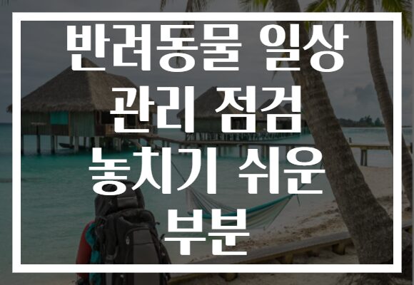 반려동물 일상 관리 점검 놓치기 쉬운 부분