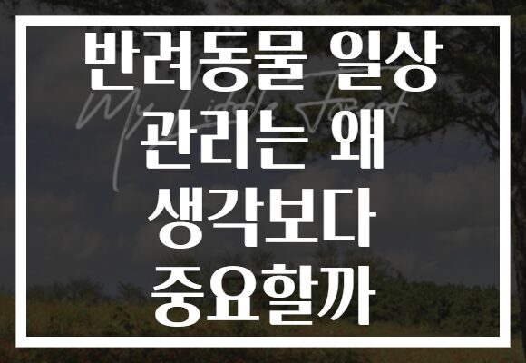 반려동물 일상 관리는 왜 생각보다 중요할까