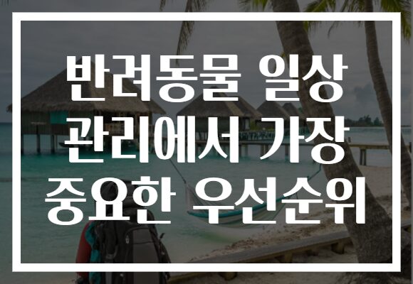 반려동물 일상 관리에서 가장 중요한 우선순위