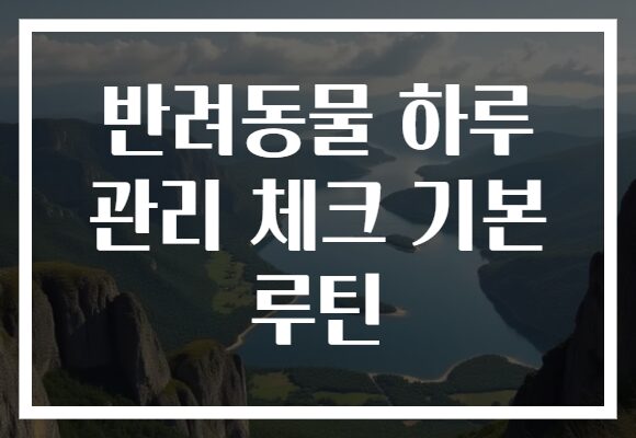 반려동물 하루 관리 체크 기본 루틴
